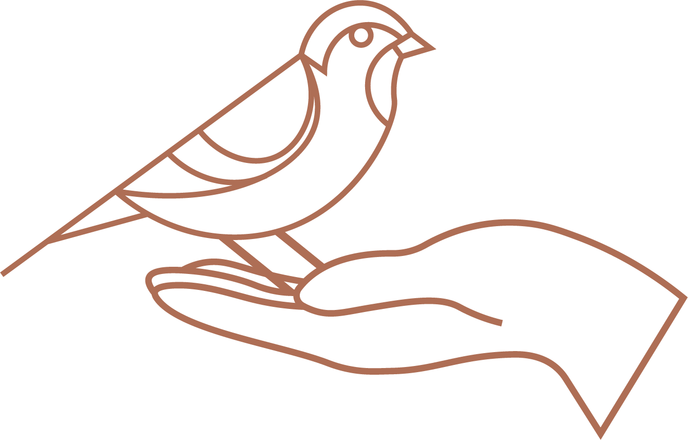 White Sparrow Coaching